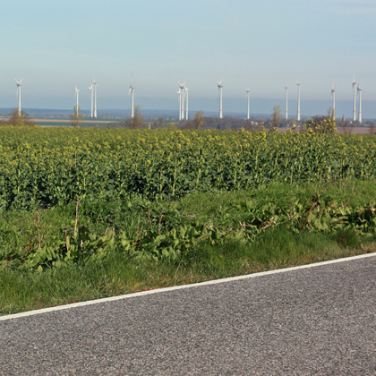 Weitere Wachstumspotentiale für Mecklenburg-Vorpommerns Ökobetriebe werden insbesondere im Obst- und Gemüseanbau gesehen.