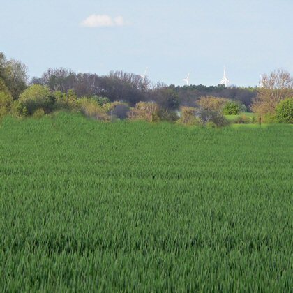 Ökologischer Landbau