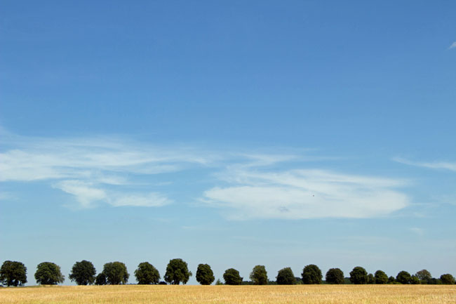 Rückkehrquoten