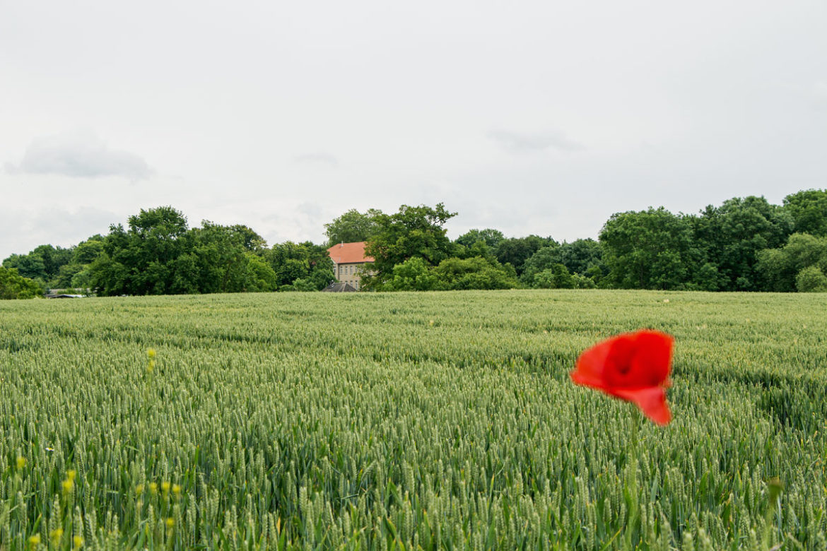 ländlicher Raum, Kompetenzzentrum für Tourismus und Landwirtschaft